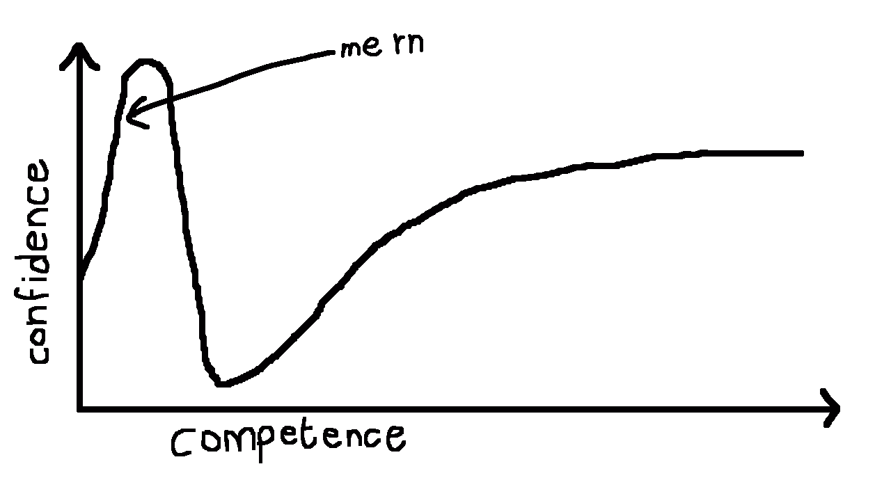 cartoonish representation of a Dunning Kruger curve
